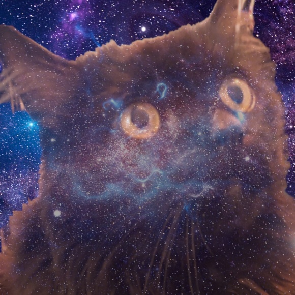 Meet your Posher, Jennifer - Picture 1 of 9